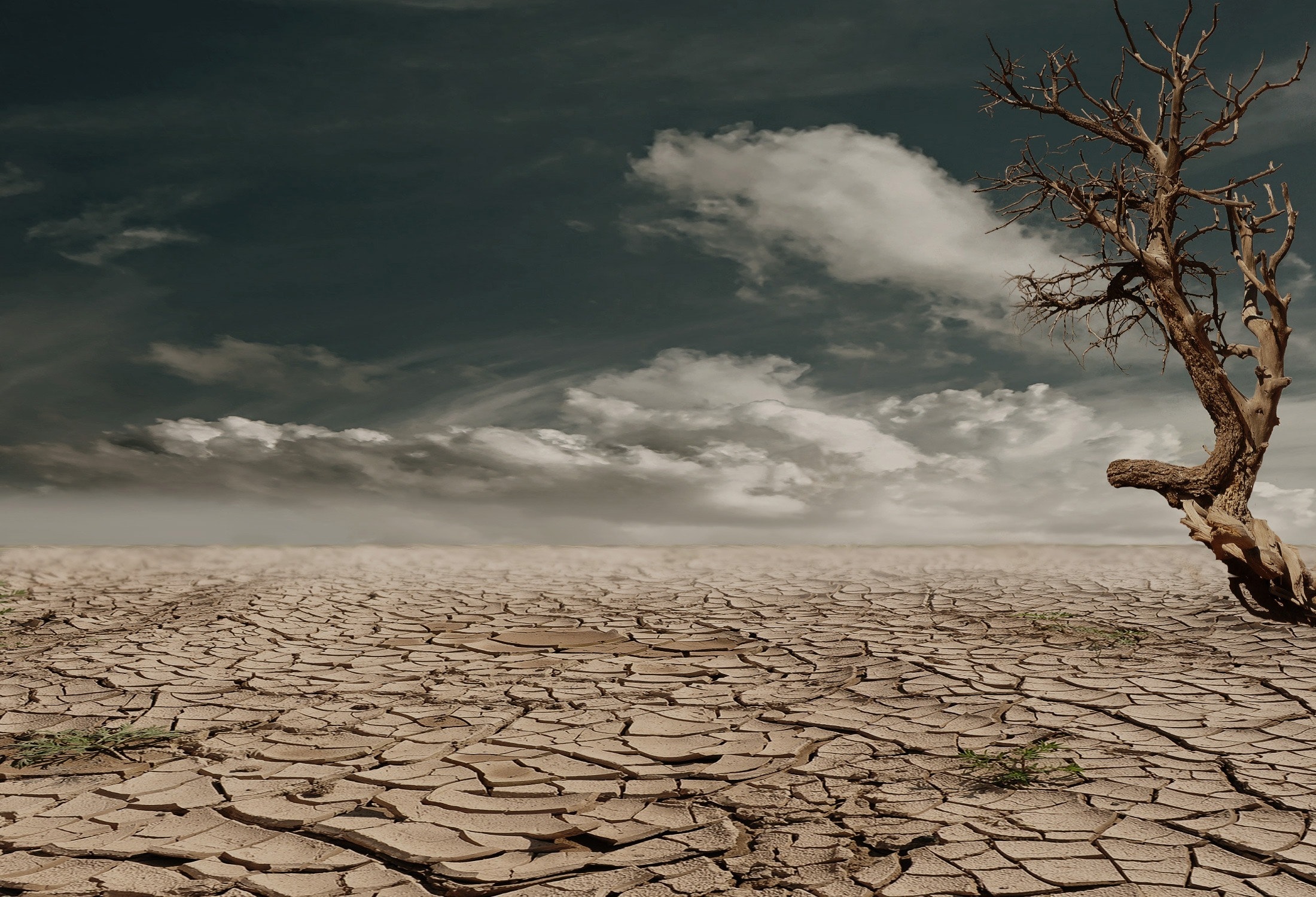 Climate Change: An increasing threat to Africa.