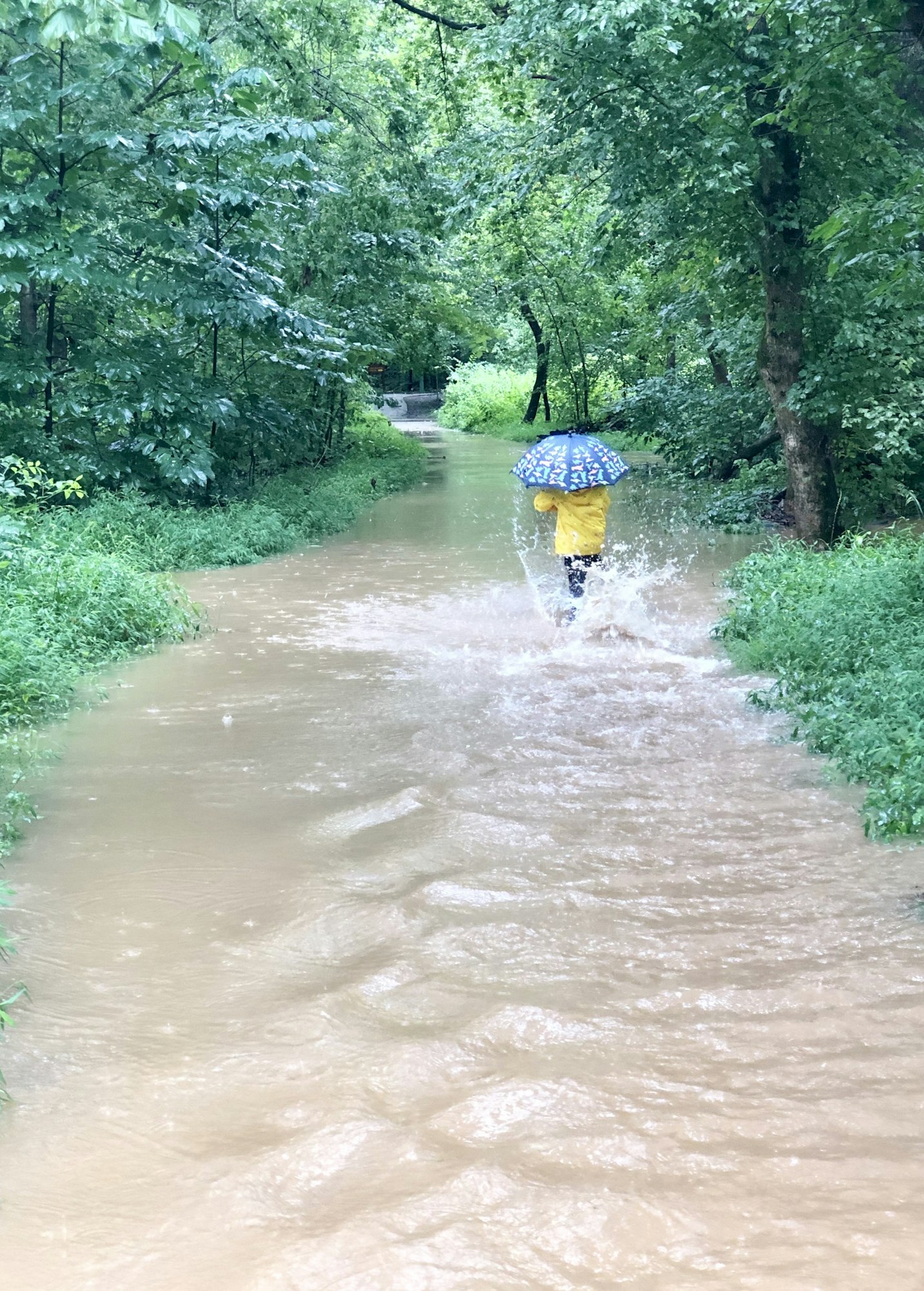 Boy Splashing in flooded trail